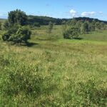 FAZENDA DE 52,00 ALQUEIRES EM ARARUAMA AO 3º DISTRITO DE SÃO VICENTE DE PAULA À DEZ MINUTOS DE CARRO DA CIDADE DE ARARUAMA.