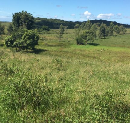 FAZENDA DE 52,00 ALQUEIRES EM ARARUAMA AO 3º DISTRITO DE SÃO VICENTE DE PAULA À DEZ MINUTOS DE CARRO DA CIDADE DE ARARUAMA.