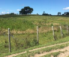 FAZENDA DE 52,00 ALQUEIRES EM ARARUAMA AO 3º DISTRITO DE SÃO VICENTE DE PAULA À DEZ MINUTOS DE CARRO DA CIDADE DE ARARUAMA.