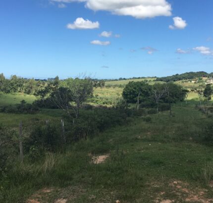 FAZENDA DE 52,00 ALQUEIRES EM ARARUAMA AO 3º DISTRITO DE SÃO VICENTE DE PAULA À DEZ MINUTOS DE CARRO DA CIDADE DE ARARUAMA.