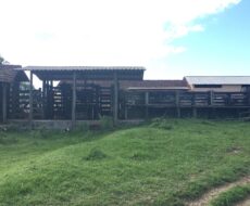 FAZENDA DE 52,00 ALQUEIRES EM ARARUAMA AO 3º DISTRITO DE SÃO VICENTE DE PAULA À DEZ MINUTOS DE CARRO DA CIDADE DE ARARUAMA.