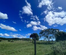 FAZENDA DE 52,00 ALQUEIRES EM ARARUAMA AO 3º DISTRITO DE SÃO VICENTE DE PAULA À DEZ MINUTOS DE CARRO DA CIDADE DE ARARUAMA.