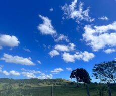 FAZENDA DE 52,00 ALQUEIRES EM ARARUAMA AO 3º DISTRITO DE SÃO VICENTE DE PAULA À DEZ MINUTOS DE CARRO DA CIDADE DE ARARUAMA.