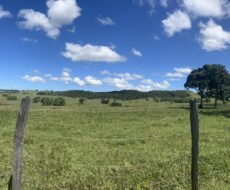 FAZENDA DE 52,00 ALQUEIRES EM ARARUAMA AO 3º DISTRITO DE SÃO VICENTE DE PAULA À DEZ MINUTOS DE CARRO DA CIDADE DE ARARUAMA.