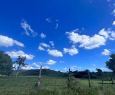 FAZENDA DE 52,00 ALQUEIRES EM ARARUAMA AO 3º DISTRITO DE SÃO VICENTE DE PAULA À DEZ MINUTOS DE CARRO DA CIDADE DE ARARUAMA.