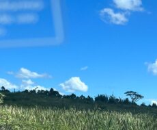 FAZENDA DE 52,00 ALQUEIRES EM ARARUAMA AO 3º DISTRITO DE SÃO VICENTE DE PAULA À DEZ MINUTOS DE CARRO DA CIDADE DE ARARUAMA.