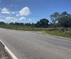 FAZENDA DE 52,00 ALQUEIRES EM ARARUAMA AO 3º DISTRITO DE SÃO VICENTE DE PAULA À DEZ MINUTOS DE CARRO DA CIDADE DE ARARUAMA.