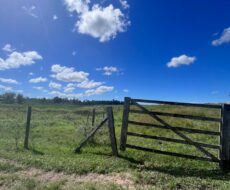 FAZENDA DE 52,00 ALQUEIRES EM ARARUAMA AO 3º DISTRITO DE SÃO VICENTE DE PAULA À DEZ MINUTOS DE CARRO DA CIDADE DE ARARUAMA.