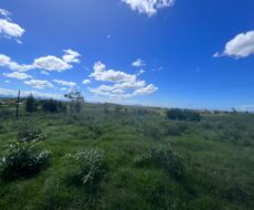 FAZENDA DE 52,00 ALQUEIRES EM ARARUAMA AO 3º DISTRITO DE SÃO VICENTE DE PAULA À DEZ MINUTOS DE CARRO DA CIDADE DE ARARUAMA.