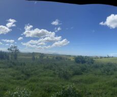 FAZENDA DE 52,00 ALQUEIRES EM ARARUAMA AO 3º DISTRITO DE SÃO VICENTE DE PAULA À DEZ MINUTOS DE CARRO DA CIDADE DE ARARUAMA.