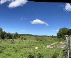 FAZENDA DE 52,00 ALQUEIRES EM ARARUAMA AO 3º DISTRITO DE SÃO VICENTE DE PAULA À DEZ MINUTOS DE CARRO DA CIDADE DE ARARUAMA.