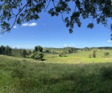 FAZENDA DE 52,00 ALQUEIRES EM ARARUAMA AO 3º DISTRITO DE SÃO VICENTE DE PAULA À DEZ MINUTOS DE CARRO DA CIDADE DE ARARUAMA.