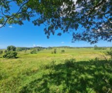 FAZENDA DE 52,00 ALQUEIRES EM ARARUAMA AO 3º DISTRITO DE SÃO VICENTE DE PAULA À DEZ MINUTOS DE CARRO DA CIDADE DE ARARUAMA.