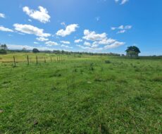 FAZENDA DE 52,00 ALQUEIRES EM ARARUAMA AO 3º DISTRITO DE SÃO VICENTE DE PAULA À DEZ MINUTOS DE CARRO DA CIDADE DE ARARUAMA.