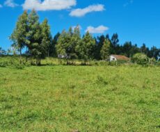 FAZENDA DE 52,00 ALQUEIRES EM ARARUAMA AO 3º DISTRITO DE SÃO VICENTE DE PAULA À DEZ MINUTOS DE CARRO DA CIDADE DE ARARUAMA.