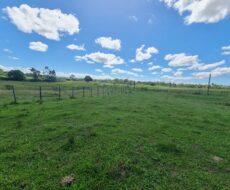 FAZENDA DE 52,00 ALQUEIRES EM ARARUAMA AO 3º DISTRITO DE SÃO VICENTE DE PAULA À DEZ MINUTOS DE CARRO DA CIDADE DE ARARUAMA.