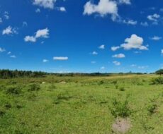 FAZENDA DE 52,00 ALQUEIRES EM ARARUAMA AO 3º DISTRITO DE SÃO VICENTE DE PAULA À DEZ MINUTOS DE CARRO DA CIDADE DE ARARUAMA.