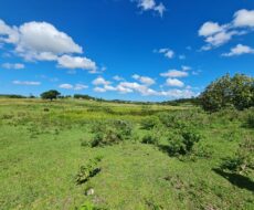 FAZENDA DE 52,00 ALQUEIRES EM ARARUAMA AO 3º DISTRITO DE SÃO VICENTE DE PAULA À DEZ MINUTOS DE CARRO DA CIDADE DE ARARUAMA.