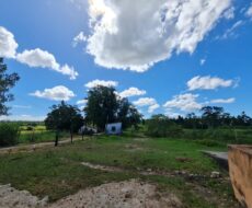 FAZENDA DE 52,00 ALQUEIRES EM ARARUAMA AO 3º DISTRITO DE SÃO VICENTE DE PAULA À DEZ MINUTOS DE CARRO DA CIDADE DE ARARUAMA.