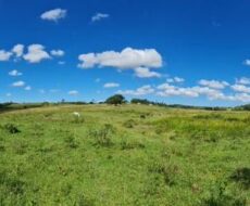 FAZENDA DE 52,00 ALQUEIRES EM ARARUAMA AO 3º DISTRITO DE SÃO VICENTE DE PAULA À DEZ MINUTOS DE CARRO DA CIDADE DE ARARUAMA.