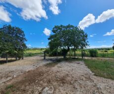FAZENDA DE 52,00 ALQUEIRES EM ARARUAMA AO 3º DISTRITO DE SÃO VICENTE DE PAULA À DEZ MINUTOS DE CARRO DA CIDADE DE ARARUAMA.