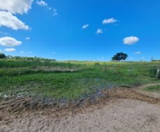 FAZENDA DE 52,00 ALQUEIRES EM ARARUAMA AO 3º DISTRITO DE SÃO VICENTE DE PAULA À DEZ MINUTOS DE CARRO DA CIDADE DE ARARUAMA.