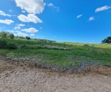 FAZENDA DE 52,00 ALQUEIRES EM ARARUAMA AO 3º DISTRITO DE SÃO VICENTE DE PAULA À DEZ MINUTOS DE CARRO DA CIDADE DE ARARUAMA.