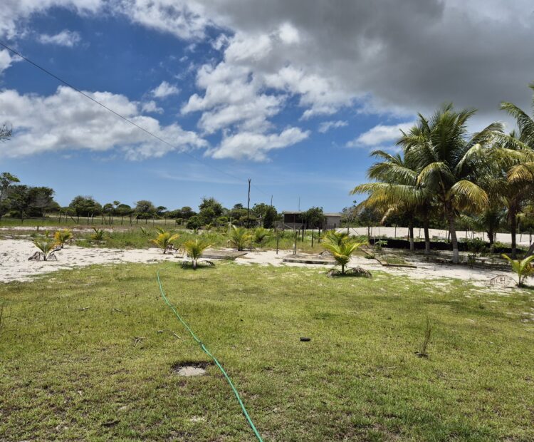 ÁREA DE 234.338,28 M² NA R PEDRO GOMES PAES À 5 KM DA BR 356 E Á 8,5 KM DO PÔRTO DO AÇU ( ESTRADA DO GALINHEIRO ) ÁREA DE CLASSIFICAÇÃO ZM6 ( COMBUSTÍVEL ).