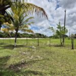 ÁREA DE 234.338,28 M² NA R PEDRO GOMES PAES À 5 KM DA BR 356 E Á 8,5 KM DO PÔRTO DO AÇU ( ESTRADA DO GALINHEIRO ) ÁREA DE CLASSIFICAÇÃO ZM6 ( COMBUSTÍVEL ).