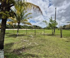 ÁREA DE 234.338,28 M² NA R PEDRO GOMES PAES À 5 KM DA BR 356 E Á 8,5 KM DO PÔRTO DO AÇU ( ESTRADA DO GALINHEIRO ) ÁREA DE CLASSIFICAÇÃO ZM6 ( COMBUSTÍVEL ).