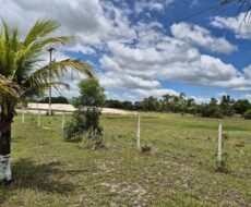 ÁREA DE 234.338,28 M² NA R PEDRO GOMES PAES À 5 KM DA BR 356 E Á 8,5 KM DO PÔRTO DO AÇU ( ESTRADA DO GALINHEIRO ) ÁREA DE CLASSIFICAÇÃO ZM6 ( COMBUSTÍVEL ).