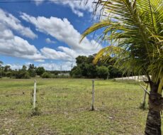 ÁREA DE 234.338,28 M² NA R PEDRO GOMES PAES À 5 KM DA BR 356 E Á 8,5 KM DO PÔRTO DO AÇU ( ESTRADA DO GALINHEIRO ) ÁREA DE CLASSIFICAÇÃO ZM6 ( COMBUSTÍVEL ).