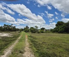 ÁREA DE 234.338,28 M² NA R PEDRO GOMES PAES À 5 KM DA BR 356 E Á 8,5 KM DO PÔRTO DO AÇU ( ESTRADA DO GALINHEIRO ) ÁREA DE CLASSIFICAÇÃO ZM6 ( COMBUSTÍVEL ).