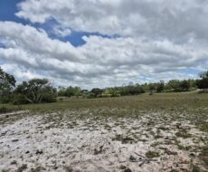 ÁREA DE 234.338,28 M² NA R PEDRO GOMES PAES À 5 KM DA BR 356 E Á 8,5 KM DO PÔRTO DO AÇU ( ESTRADA DO GALINHEIRO ) ÁREA DE CLASSIFICAÇÃO ZM6 ( COMBUSTÍVEL ).