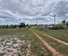 ÁREA DE 234.338,28 M² NA R PEDRO GOMES PAES À 5 KM DA BR 356 E Á 8,5 KM DO PÔRTO DO AÇU ( ESTRADA DO GALINHEIRO ) ÁREA DE CLASSIFICAÇÃO ZM6 ( COMBUSTÍVEL ).