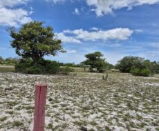 ÁREA DE 234.338,28 M² NA R PEDRO GOMES PAES À 5 KM DA BR 356 E Á 8,5 KM DO PÔRTO DO AÇU ( ESTRADA DO GALINHEIRO ) ÁREA DE CLASSIFICAÇÃO ZM6 ( COMBUSTÍVEL ).