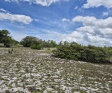 ÁREA DE 234.338,28 M² NA R PEDRO GOMES PAES À 5 KM DA BR 356 E Á 8,5 KM DO PÔRTO DO AÇU ( ESTRADA DO GALINHEIRO ) ÁREA DE CLASSIFICAÇÃO ZM6 ( COMBUSTÍVEL ).