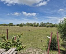 ÁREA DE 234.338,28 M² NA R PEDRO GOMES PAES À 5 KM DA BR 356 E Á 8,5 KM DO PÔRTO DO AÇU ( ESTRADA DO GALINHEIRO ) ÁREA DE CLASSIFICAÇÃO ZM6 ( COMBUSTÍVEL ).