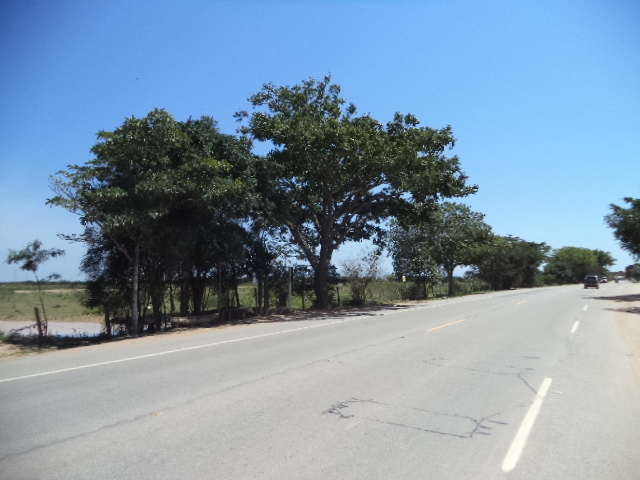 ÁREA DE 153.000,00 M² NA RJ-216 (ESTRADA DO AÇÚCAR – RODOVIA CAMPOS X FAROL),