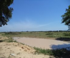 ÁREA DE 153.000,00 M² NA RJ-216 (ESTRADA DO AÇÚCAR – RODOVIA CAMPOS X FAROL),