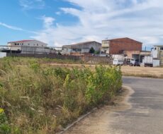 EMPREEDIMENTO IMOBILIÁRIO (LOTEAMENTO) NO DISTRITO DE GOYTACAZES,