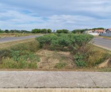 EMPREEDIMENTO IMOBILIÁRIO (LOTEAMENTO) NO DISTRITO DE GOYTACAZES,