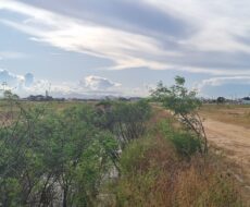 EMPREEDIMENTO IMOBILIÁRIO (LOTEAMENTO) NO DISTRITO DE GOYTACAZES, DENOMINADO PORTAL DO LAGO