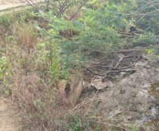 EMPREEDIMENTO IMOBILIÁRIO (LOTEAMENTO) NO DISTRITO DE GOYTACAZES,