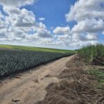 SÍTIO 2.5 ALQUEIRES EM TRAVESSÃO NA LOCALIDADE DE CAHORRO D’ÁGUA À 7 KM DE TRAVESSÕA.