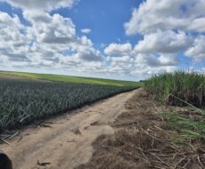 SÍTIO 2.5 ALQUEIRES EM TRAVESSÃO NA LOCALIDADE DE CAHORRO D’ÁGUA À 7 KM DE TRAVESSÕA.