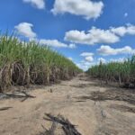 SÍTIO 2.5 ALQUEIRES EM TRAVESSÃO NA LOCALIDADE DE CAHORRO D’ÁGUA À 7 KM DE TRAVESSÕA.