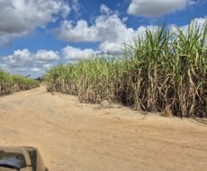 SÍTIO 2.5 ALQUEIRES EM TRAVESSÃO NA LOCALIDADE DE CAHORRO D’ÁGUA À 7 KM DE TRAVESSÕA.