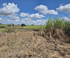 SÍTIO 2.5 ALQUEIRES EM TRAVESSÃO NA LOCALIDADE DE CAHORRO D’ÁGUA À 7 KM DE TRAVESSÕA.