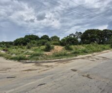 ÁREA DE 520.000,00,00 M² NA PENHA TOTALMENTE ENCERIDA NO PERIMETRO URBANO.